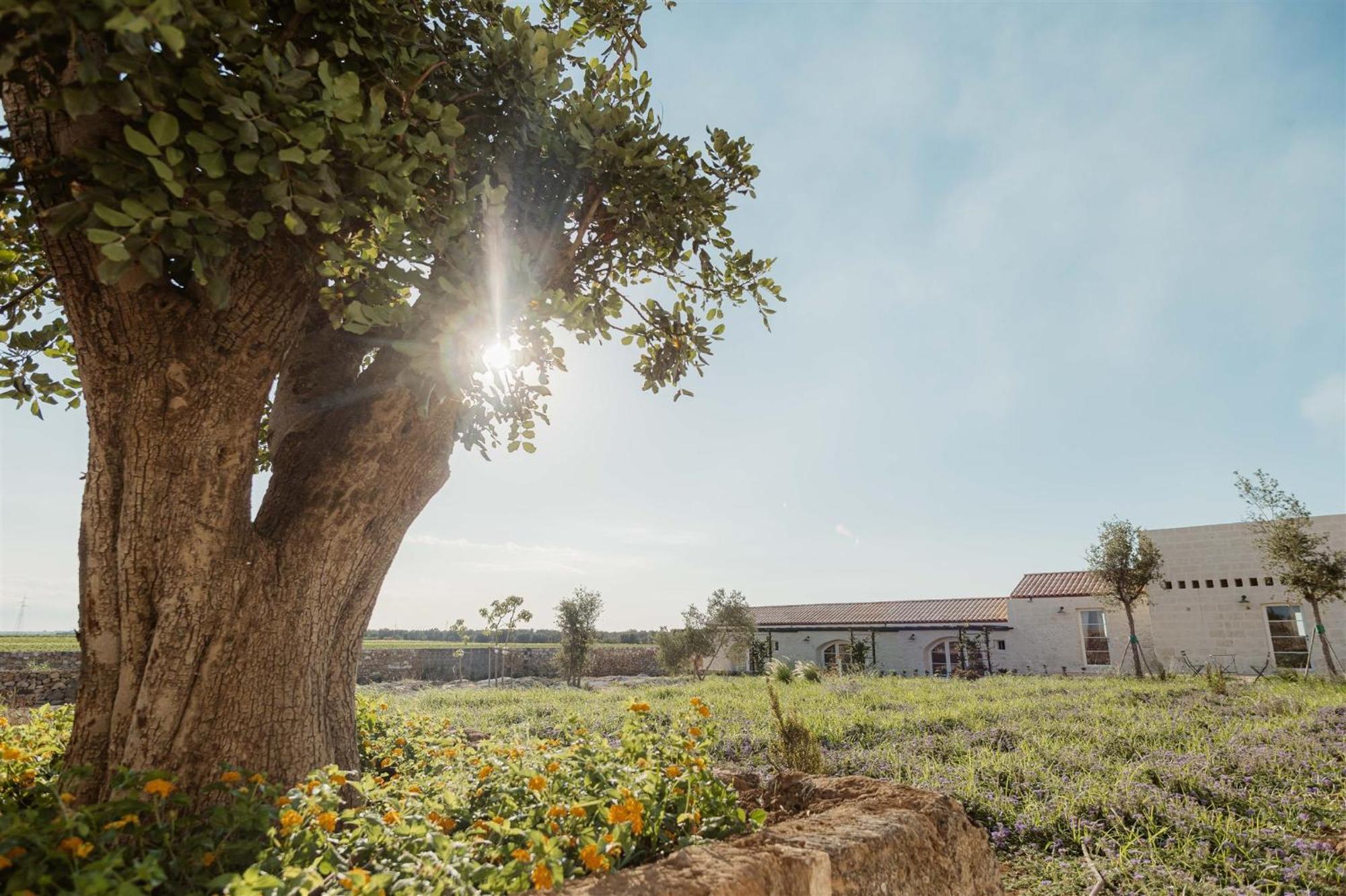 Masseria Vaccaro By Raro Villas - Self Check-In Brindisi Esterno foto